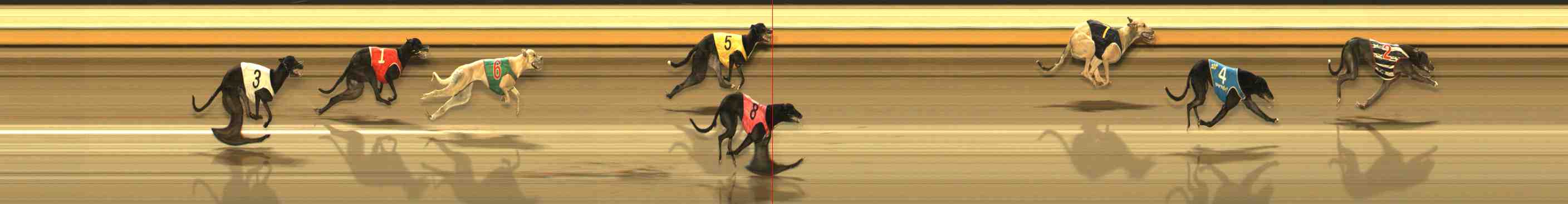 Photo finish for Warrnambool Race 9
