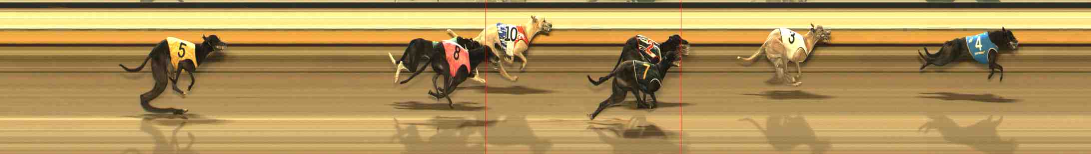 Photo finish for Warrnambool Race 10
