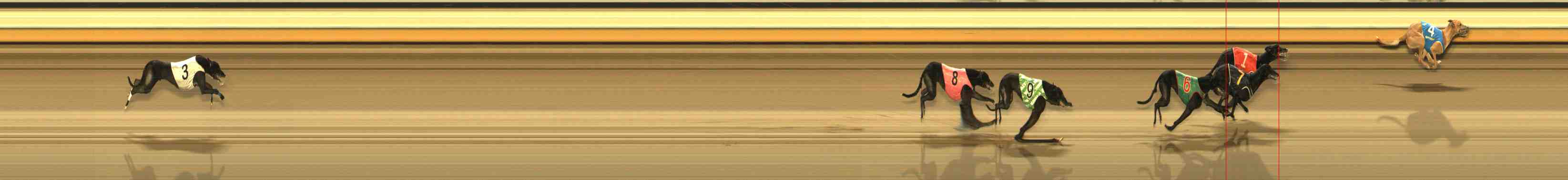 Photo finish for Warrnambool Race 11