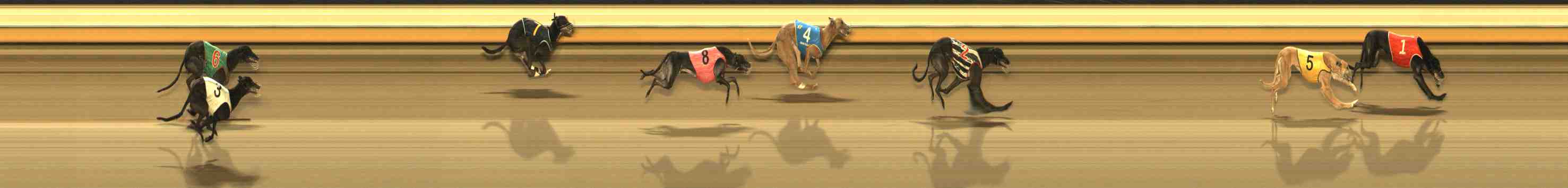 Photo finish for Warrnambool Race 12