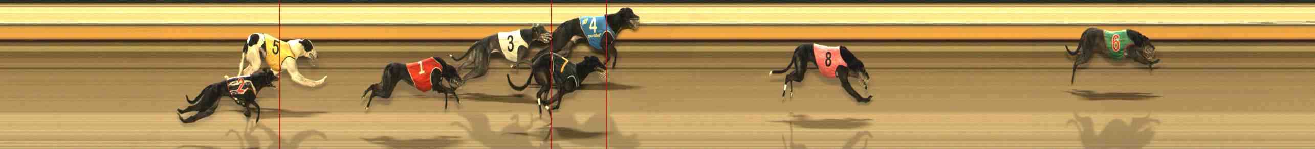 Photo finish for Warrnambool Race 13