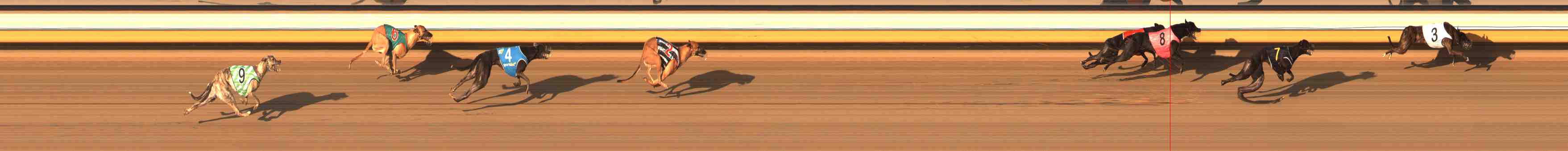 Photo finish for Warrnambool Race 5