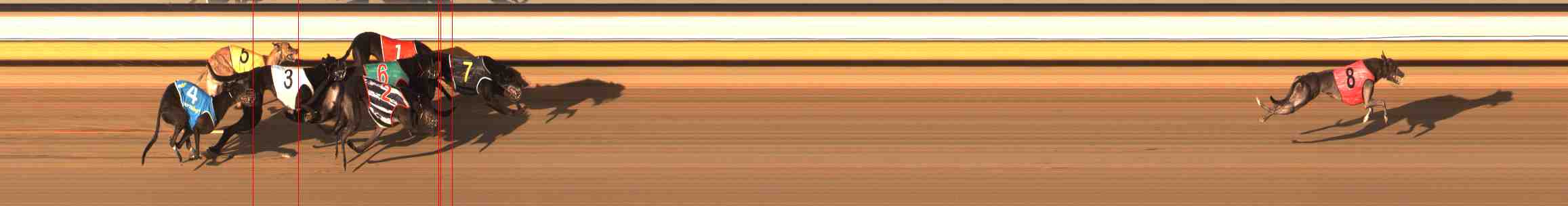 Photo finish for Warrnambool Race 6