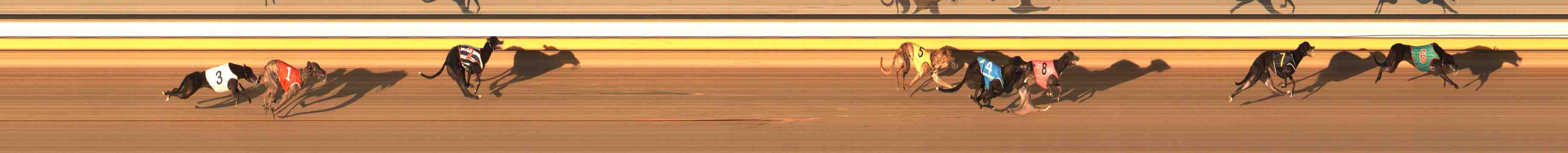 Photo finish for Warrnambool Race 7