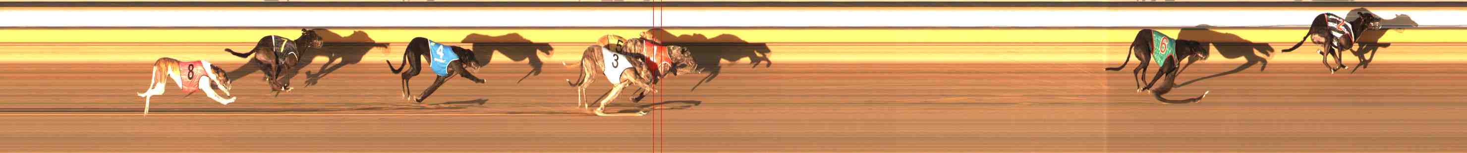 Photo finish for Warrnambool Race 8