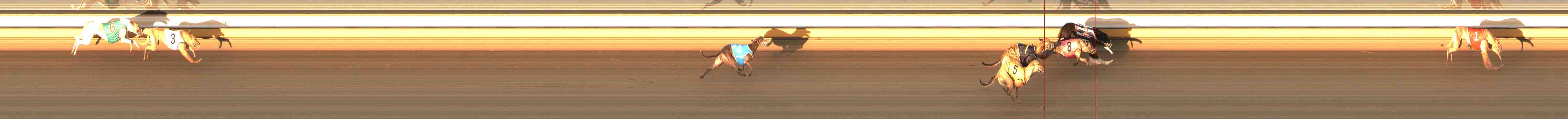 Photo finish for Warrnambool Race 9