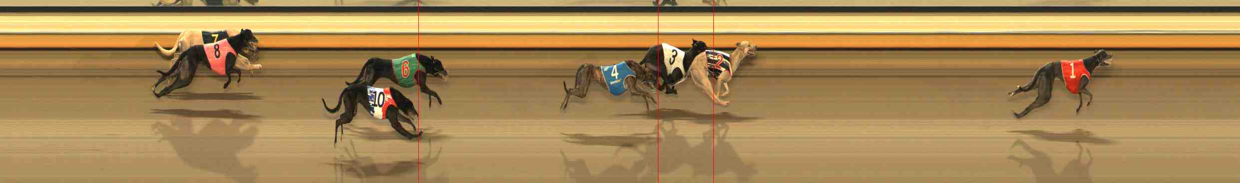 Photo finish for Warrnambool Race 12