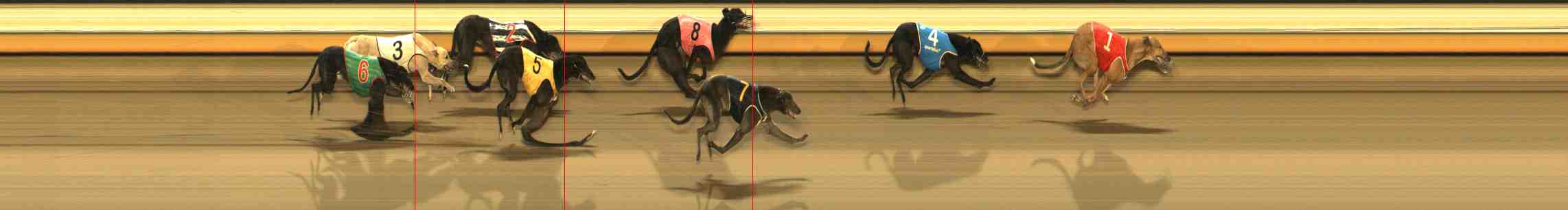 Photo finish for Warrnambool Race 13