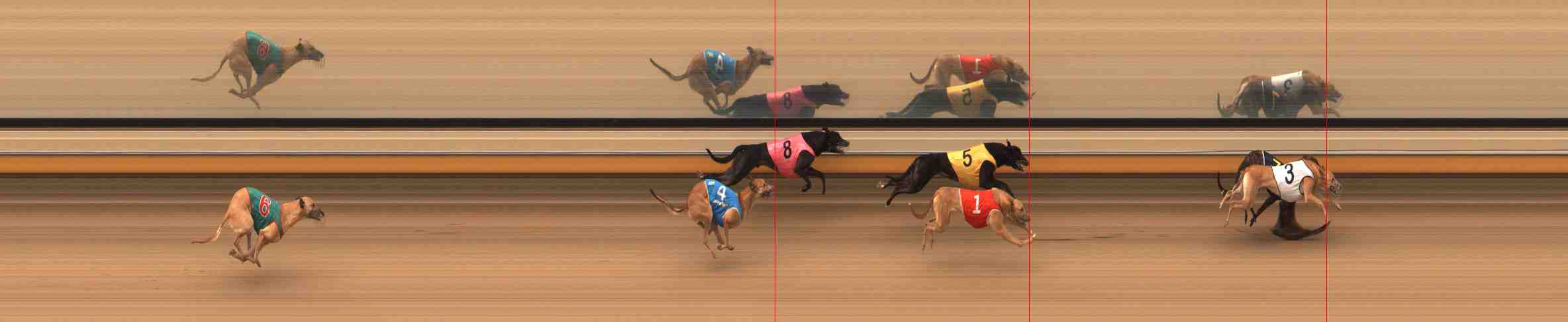 Photo finish for Warrnambool Race 2