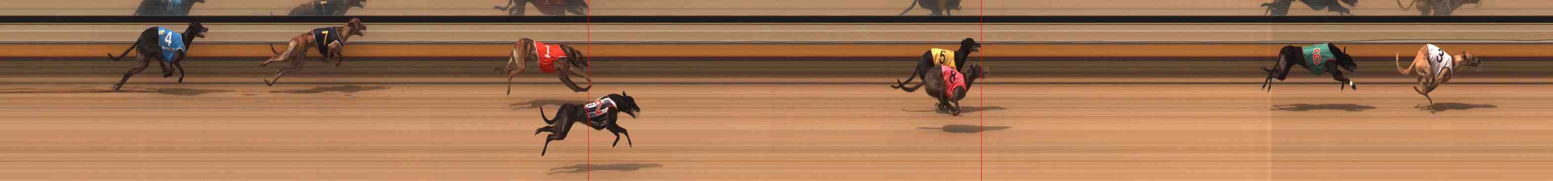 Photo finish for Warrnambool Race 3