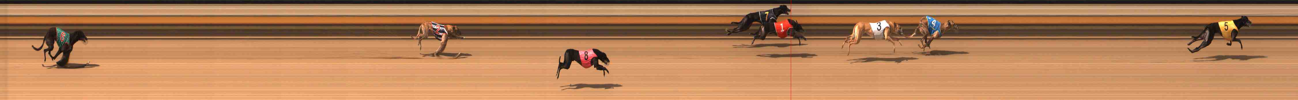 Photo finish for Warrnambool Race 4