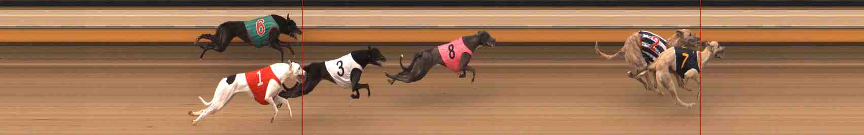 Photo finish for Warrnambool Race 5