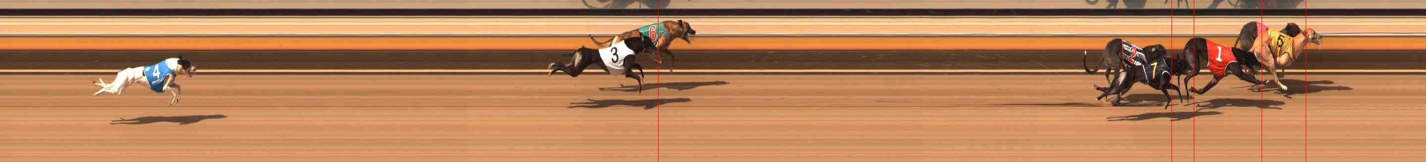 Photo finish for Warrnambool Race 6