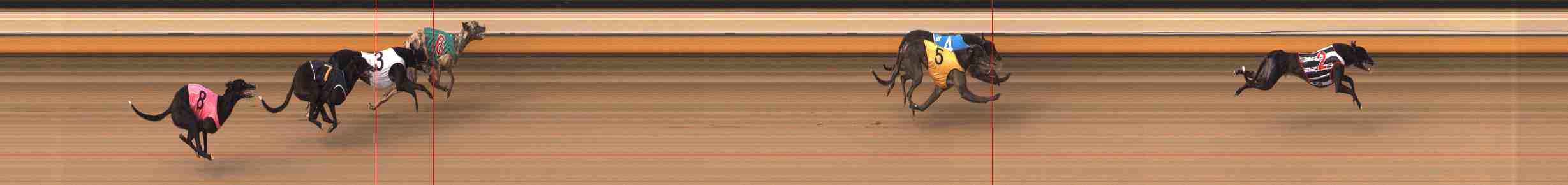 Photo finish for Warrnambool Race 7