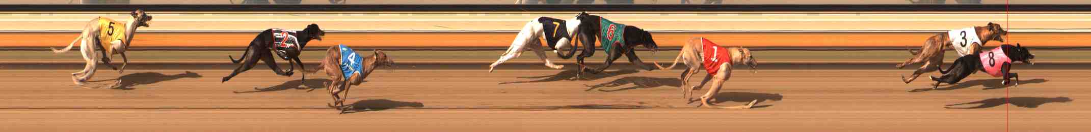 Photo finish for Warrnambool Race 8