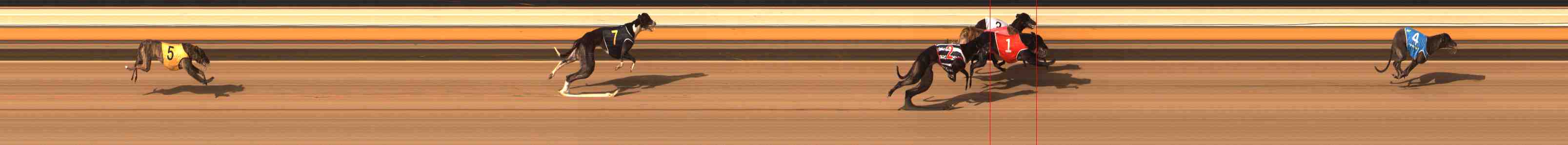 Photo finish for Warrnambool Race 9