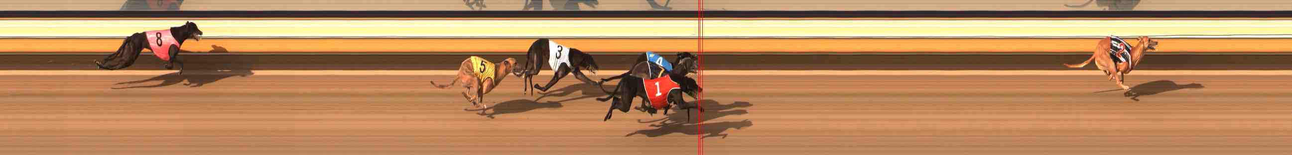 Photo finish for Warrnambool Race 10