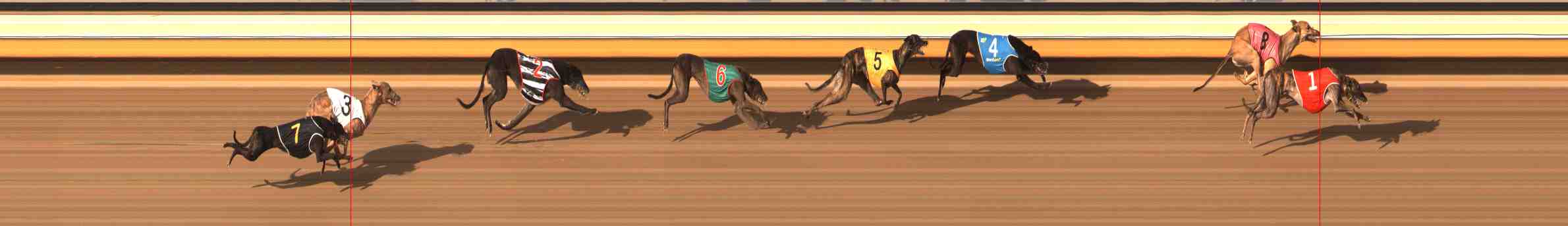 Photo finish for Warrnambool Race 11