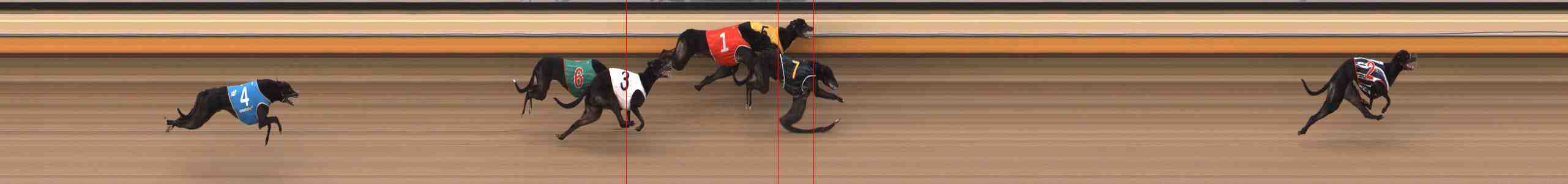 Photo finish for Warrnambool Race 12