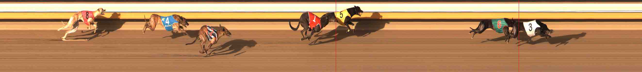 Photo finish for Warrnambool Race 13
