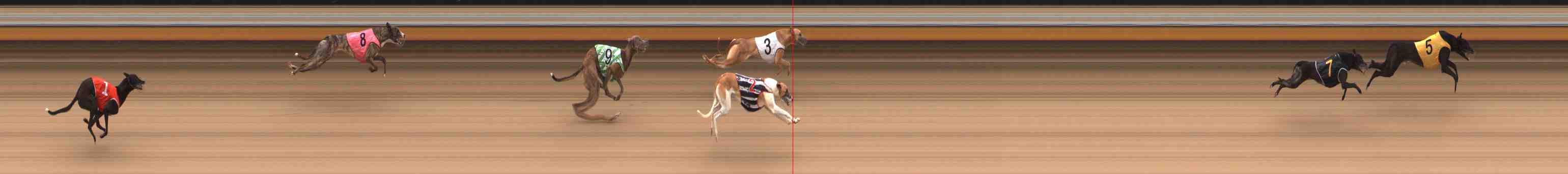 Photo finish for Warrnambool Race 2