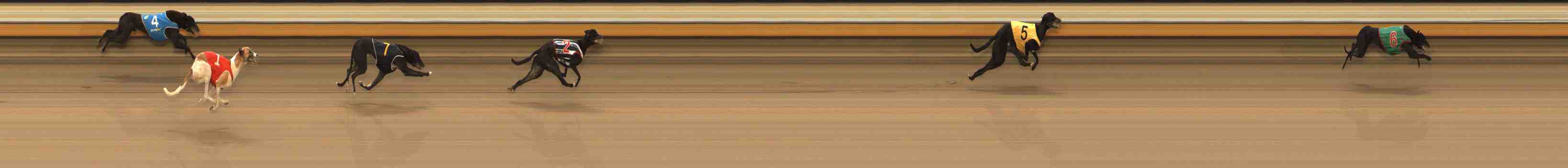 Photo finish for Warrnambool Race 3