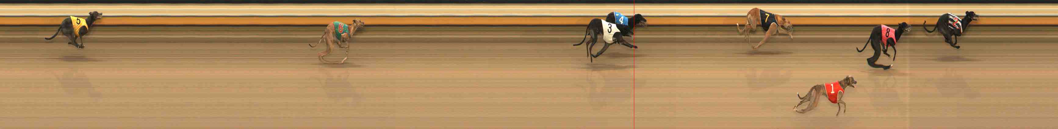 Photo finish for Warrnambool Race 4