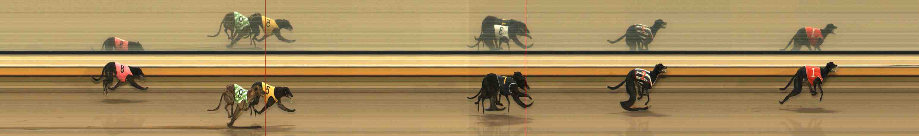 Photo finish for Warrnambool Race 5