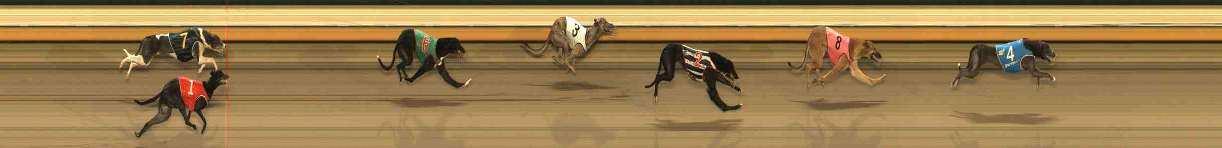 Photo finish for Warrnambool Race 6