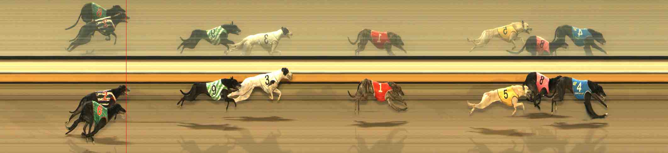 Photo finish for Warrnambool Race 8