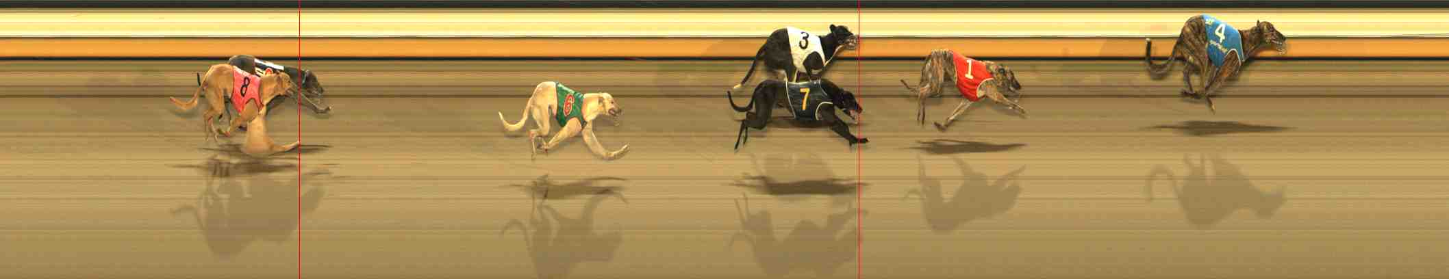 Photo finish for Warrnambool Race 9