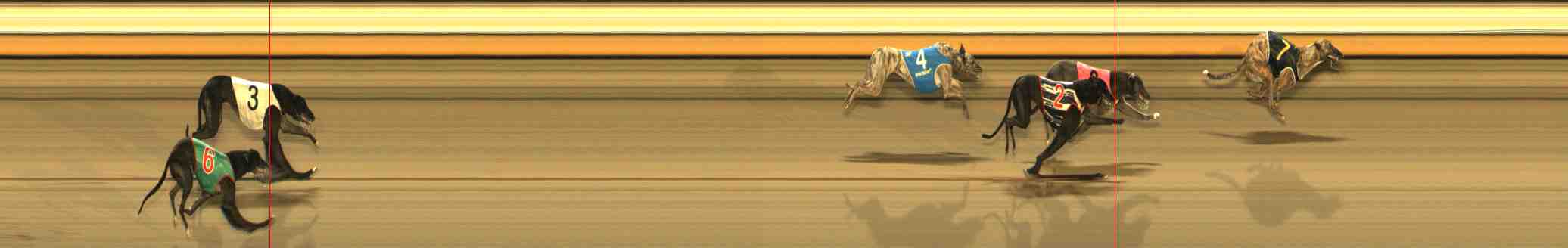 Photo finish for Warrnambool Race 10