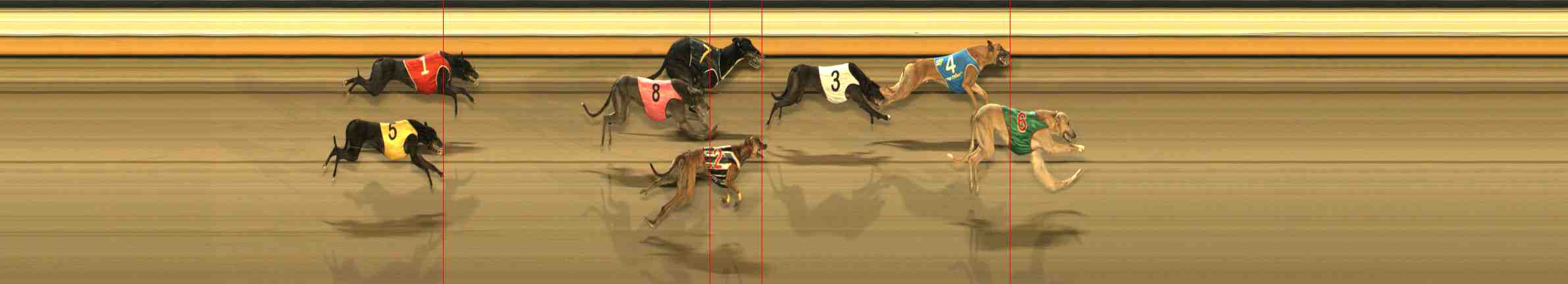 Photo finish for Warrnambool Race 11