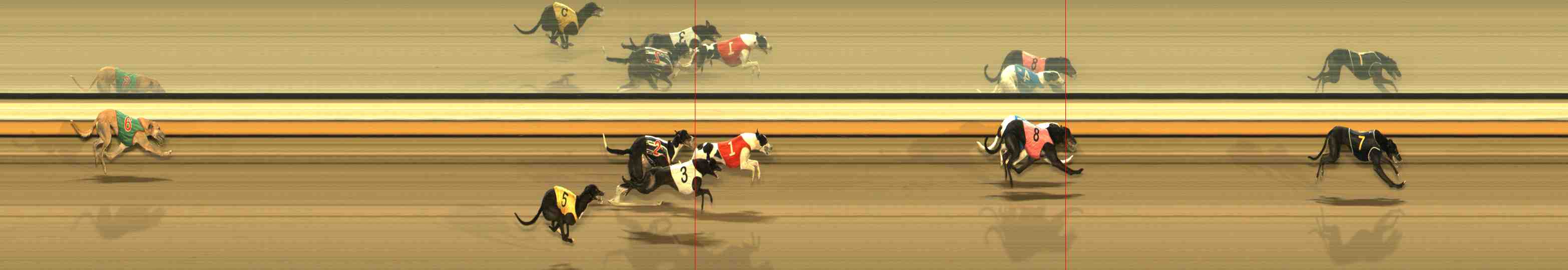 Photo finish for Warrnambool Race 12
