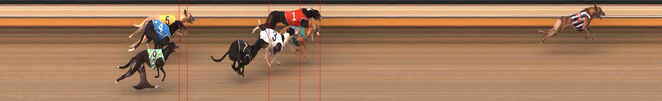 Photo finish for Warrnambool Race 2