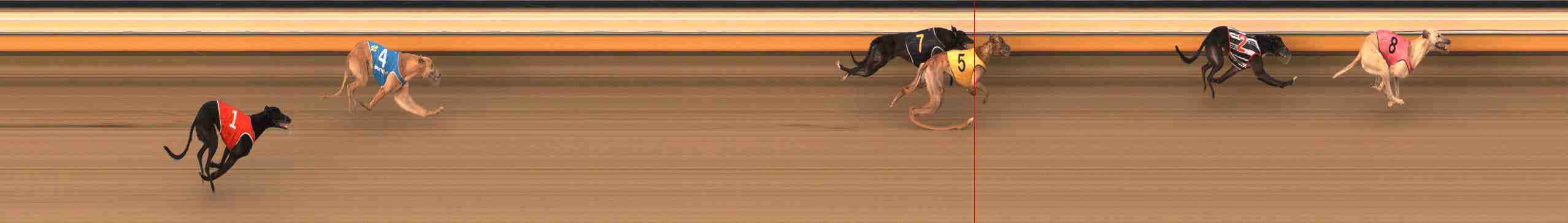 Photo finish for Warrnambool Race 4