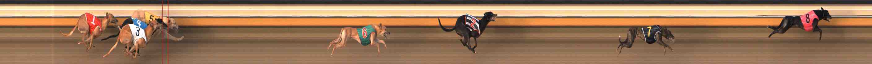 Photo finish for Warrnambool Race 5