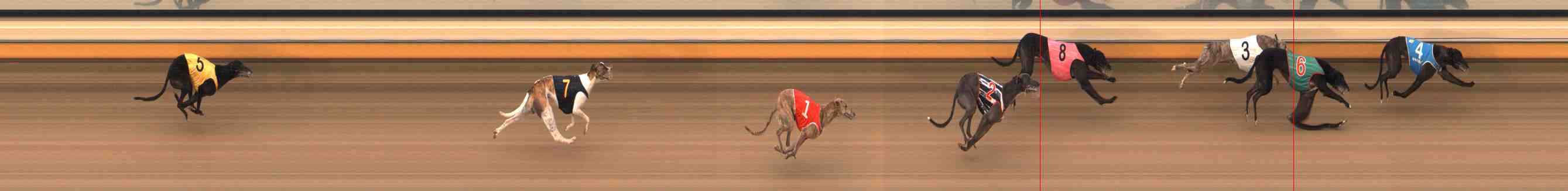 Photo finish for Warrnambool Race 6