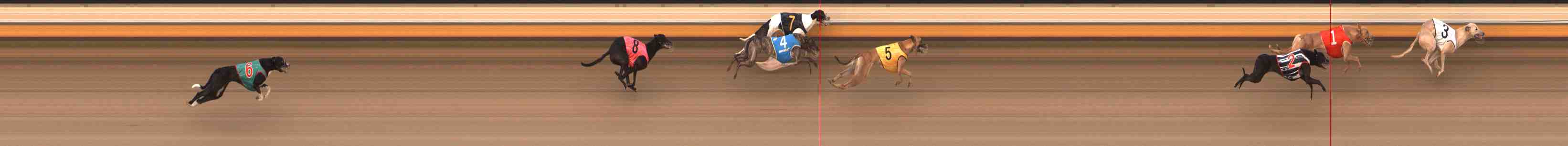 Photo finish for Warrnambool Race 7
