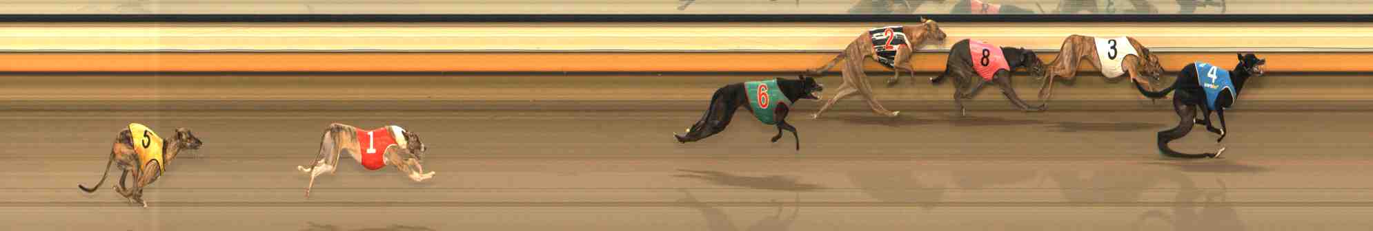 Photo finish for Warrnambool Race 8