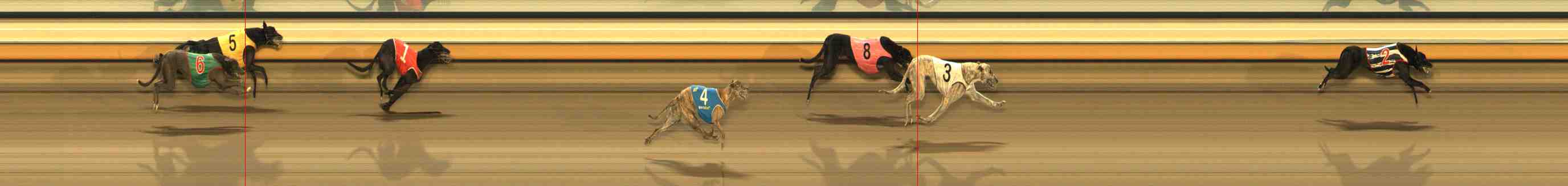Photo finish for Warrnambool Race 9