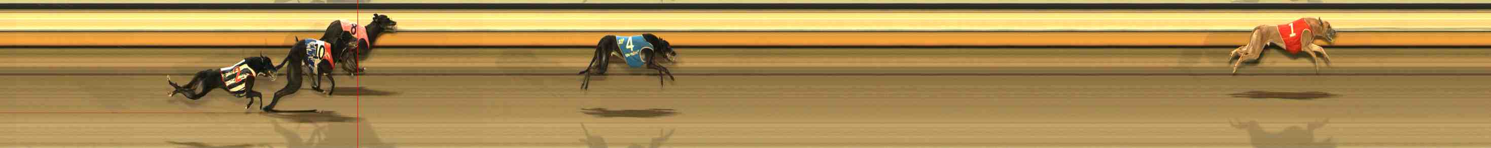 Photo finish for Warrnambool Race 10