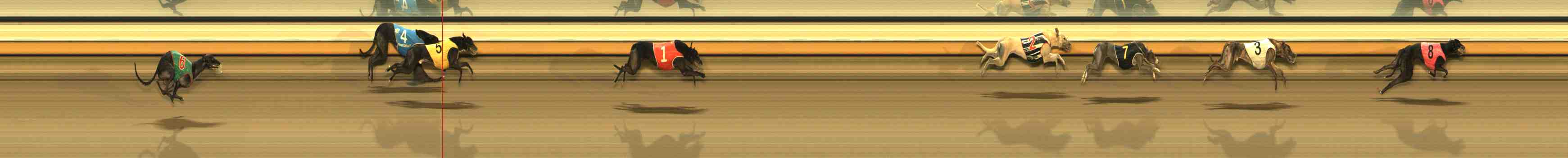 Photo finish for Warrnambool Race 11