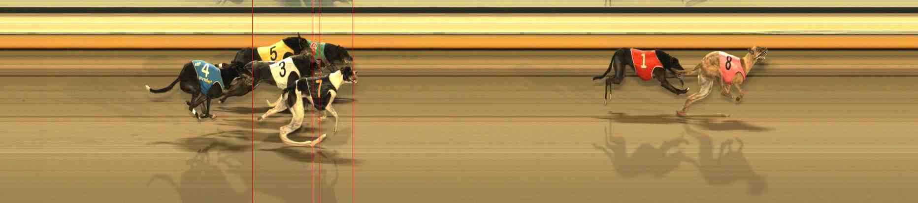 Photo finish for Warrnambool Race 12