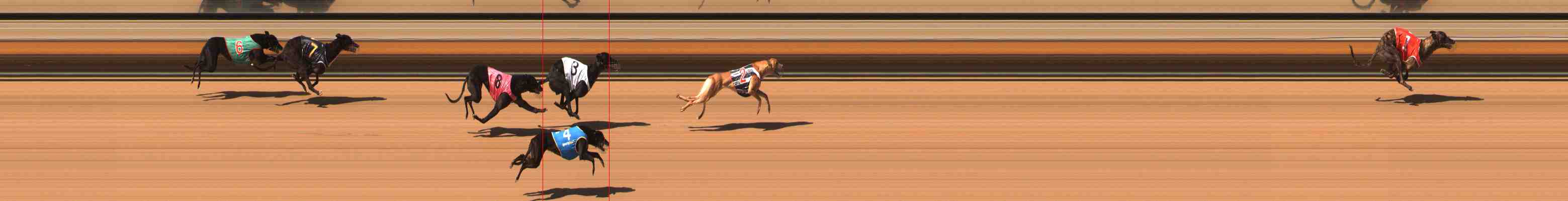 Photo finish for Warrnambool Race 4