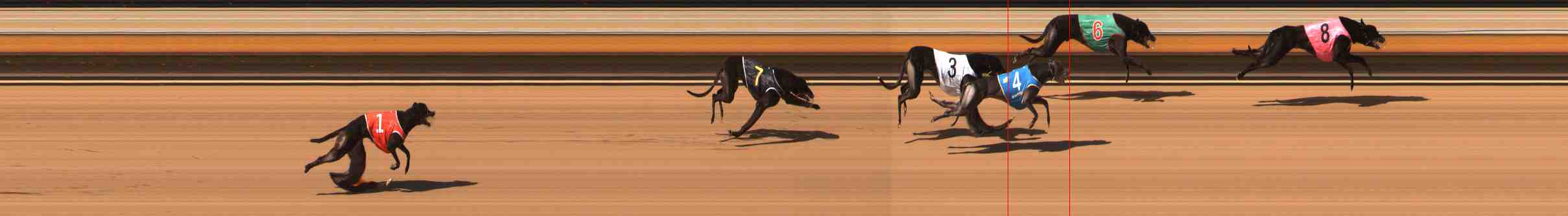 Photo finish for Warrnambool Race 5