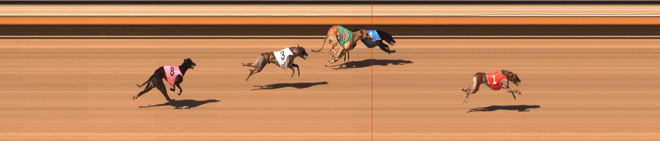 Photo finish for Warrnambool Race 6