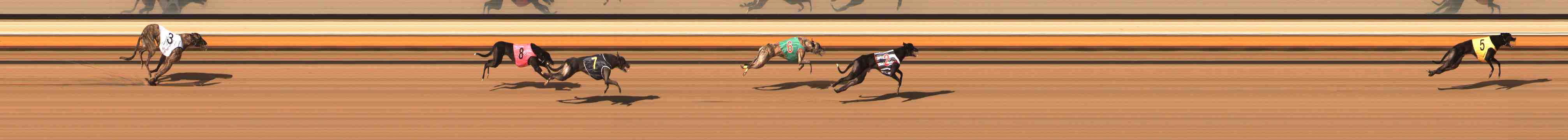 Photo finish for Warrnambool Race 7