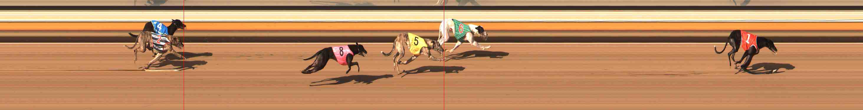 Photo finish for Warrnambool Race 8