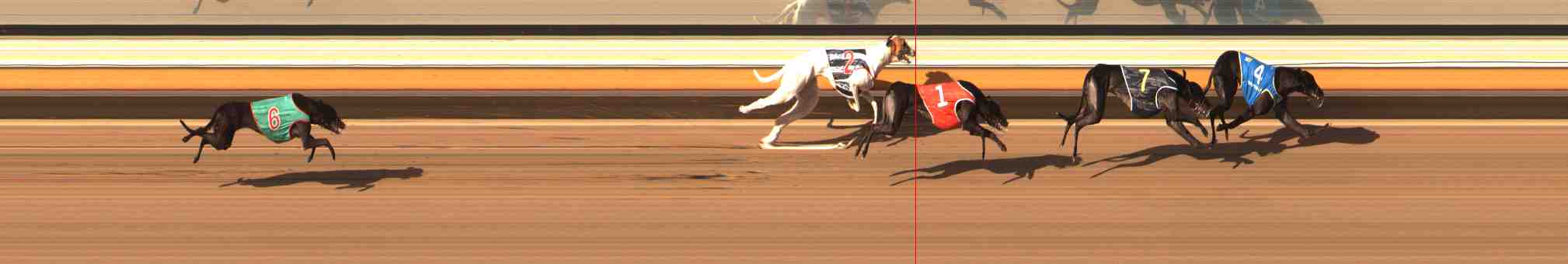 Photo finish for Warrnambool Race 9